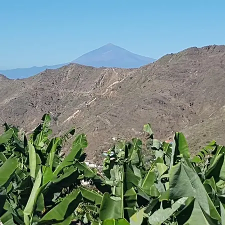 Casa Tajaraste