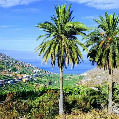 Casa Tajaraste