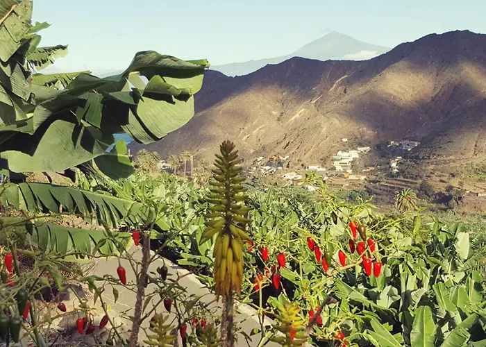 Casa Tajaraste Hermigua